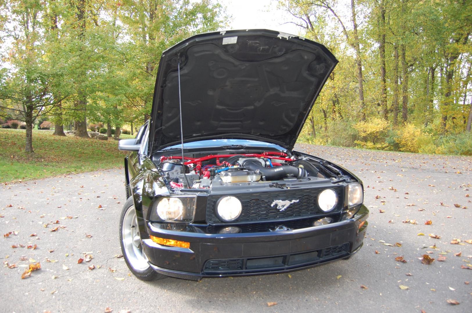 2005 Black /Black leather Ford Mustang GT Premium Coupe (1ZVHT82H455) with an 4.6L V8 SOHC 24V engine, 5 Speed Manual transmission, located at 6528 Lower York Road, New Hope, PA, 18938, (215) 862-9555, 40.358707, -74.977882 - Here we have a beautiful Ford Mustang GT, only 25k original miles, a 4.6L V8 putting power to the rear wheels via a manual 5 speed transmission. The interior offers black leather, keyless entry, heat, A/C, AM/FM/CD/AUX radio, tilt steering wheel, cruise control, power windows, power locks and pow - Photo#28