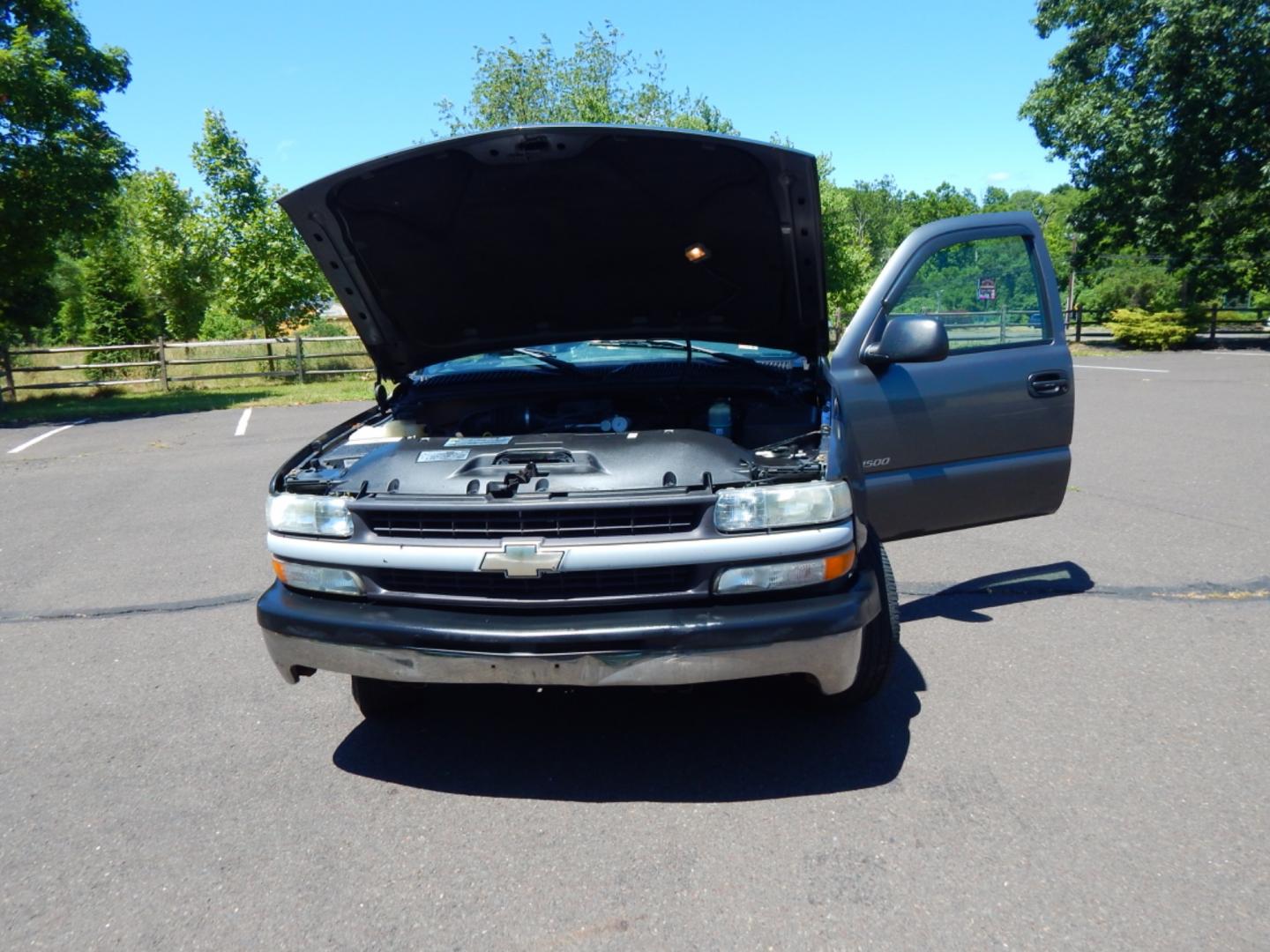 2002 Gray /Gray Cloth Chevrolet Silverado 1500 Long Bed 2WD (1GCEC14W52Z) with an 4.3L V6 OHV 12V engine, Automatic transmission, located at 6528 Lower York Road, New Hope, PA, 18938, (215) 862-9555, 40.358707, -74.977882 - Here we have a Chevrolet Silverado with a 4.3L V6 putting power to the rear wheels via a smooth shifting automatic transmission. Options include: gray cloth, AM/FM radio, cruise control, tilt steering wheel, ice cold AC, seats 3, roll up windows, drivers/passengers front airbags for safety, 16 inch - Photo#20