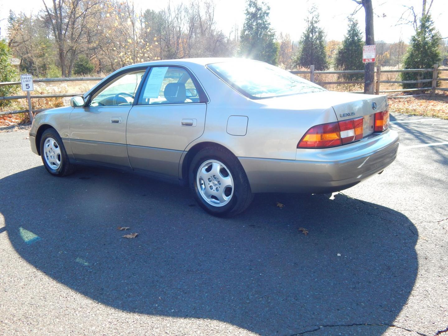 1999 Gold /Tan Leather Lexus ES 300 Base (JT8BF28G7X5) with an 3.0L V6 DOHC 24V engine, 4-Speed Automatic Overdrive transmission, located at 6528 Lower York Road, New Hope, PA, 18938, (215) 862-9555, 40.358707, -74.977882 - Here we have a very nice Lexus ES300 with a 3.0L V6 putting power to the front wheels via a smooth shifting automatic. Options include: tan leather, heat, A/C, power sunroof, AM/FM/CD/TAPE radio, cruise control, tilt steering wheel, automatic headlights, power windows/locks/mirrors, Lexus Premium So - Photo#3