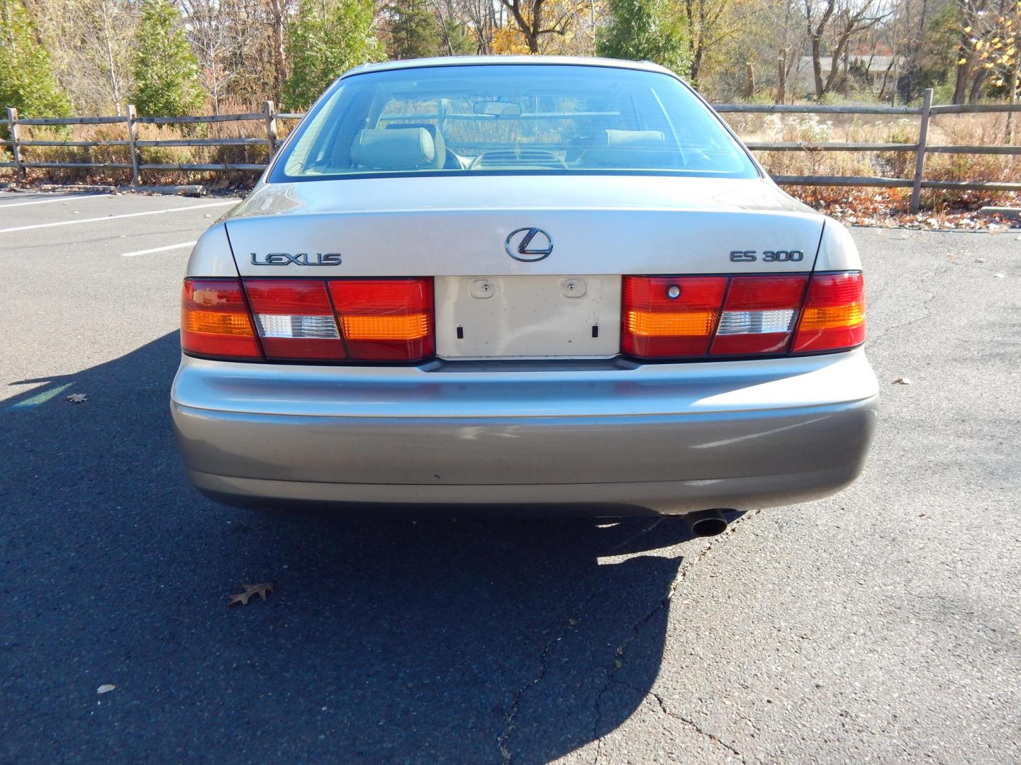 1999 Gold /Tan Leather Lexus ES 300 Base (JT8BF28G7X5) with an 3.0L V6 DOHC 24V engine, 4-Speed Automatic Overdrive transmission, located at 6528 Lower York Road, New Hope, PA, 18938, (215) 862-9555, 40.358707, -74.977882 - Here we have a very nice Lexus ES300 with a 3.0L V6 putting power to the front wheels via a smooth shifting automatic. Options include: tan leather, heat, A/C, power sunroof, AM/FM/CD/TAPE radio, cruise control, tilt steering wheel, automatic headlights, power windows/locks/mirrors, Lexus Premium So - Photo#7